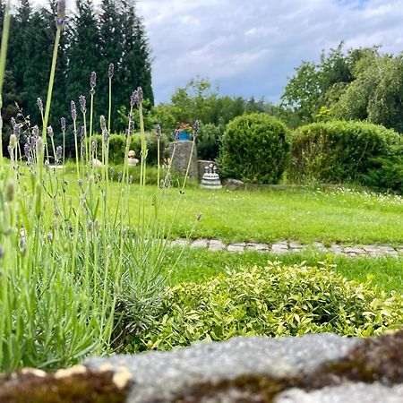 Apartman U Mluvicich Kamenu Stare Krecany Luaran gambar